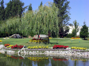 Картинка природа