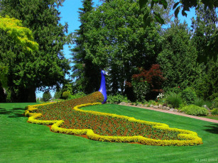 Картинка природа