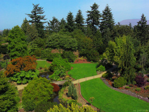 Картинка природа