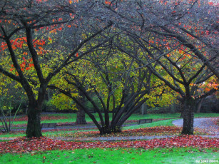 Картинка природа