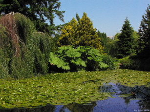 Картинка природа