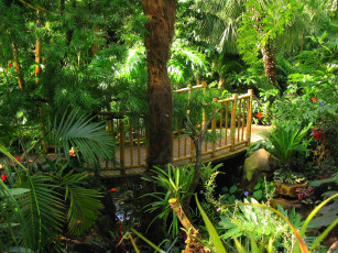 Картинка природа