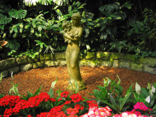 Картинка природа