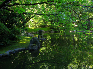 Картинка природа