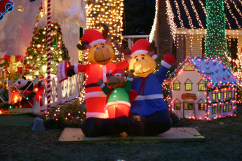 Картинка праздничные новогодние пейзажи