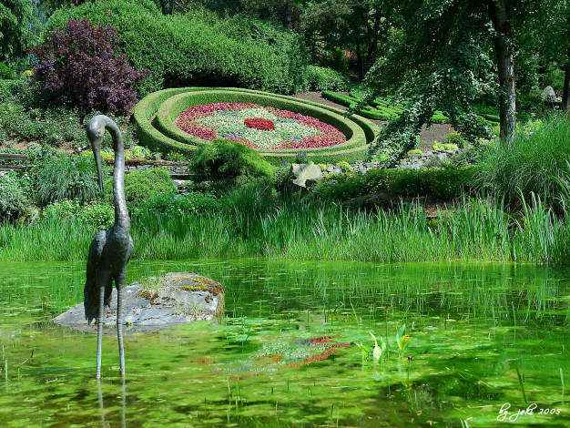 Обои картинки фото природа