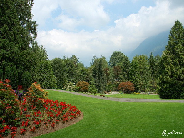 Обои картинки фото природа