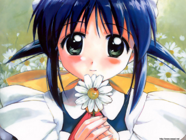 Обои картинки фото аниме, mahoromatic