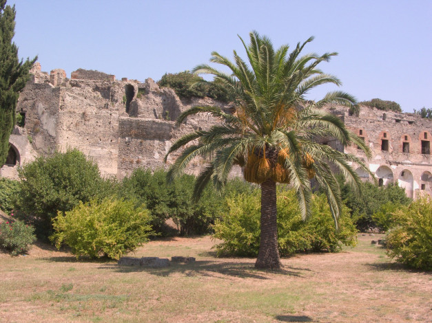 Обои картинки фото города