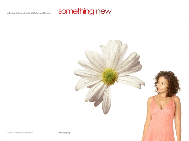 Обои картинки фото кино, фильмы, something, new