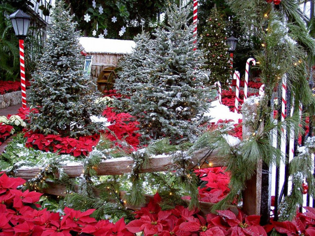 Обои картинки фото праздничные