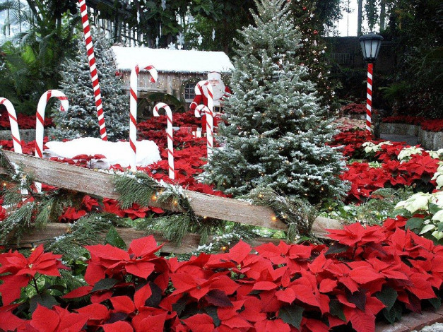 Обои картинки фото праздничные, новогодние, пейзажи