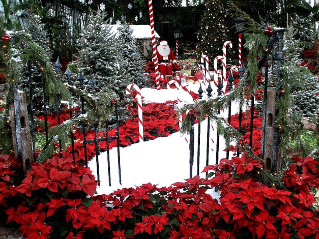 Обои картинки фото праздничные, новогодние, пейзажи