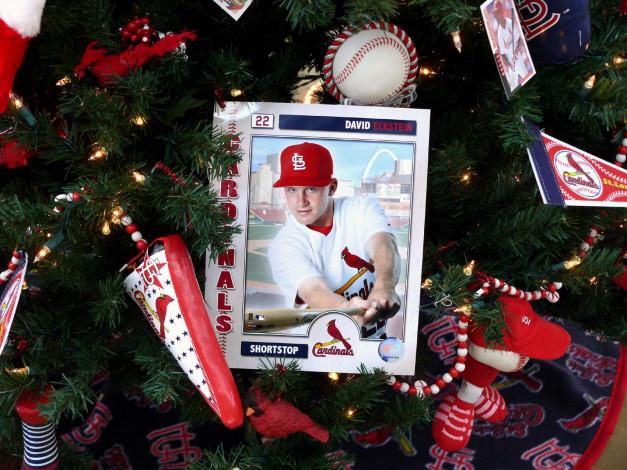 Обои картинки фото праздничные, украшения