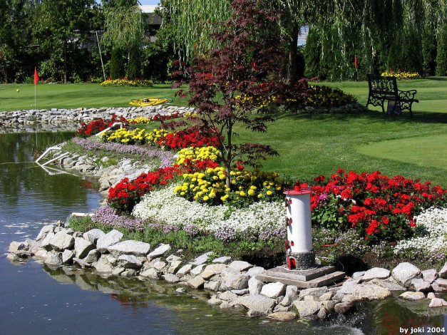 Обои картинки фото природа