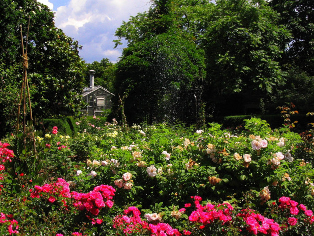 Обои картинки фото природа