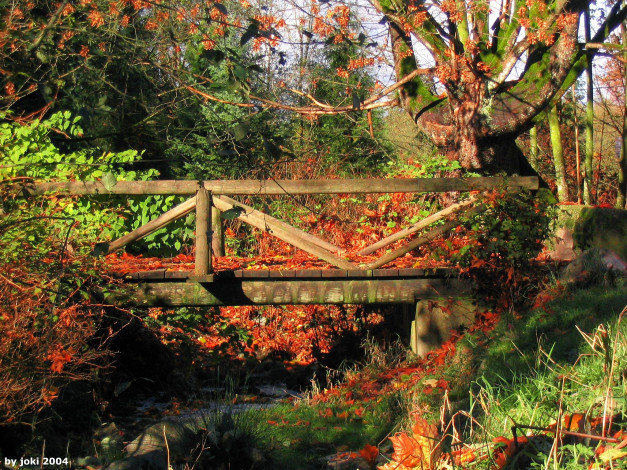 Обои картинки фото природа