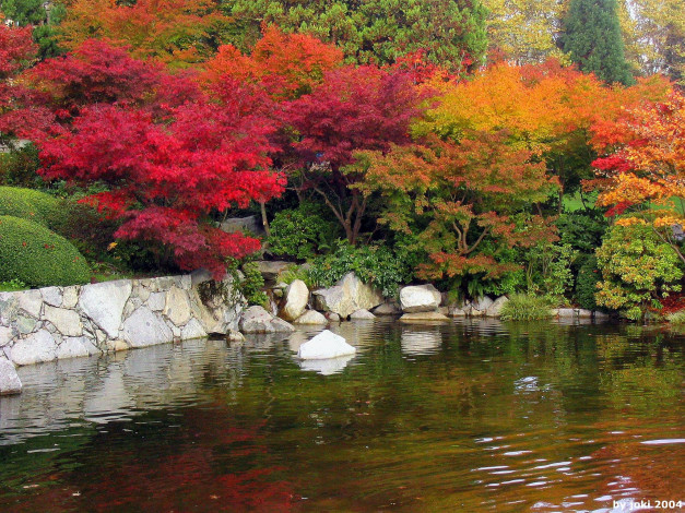 Обои картинки фото природа