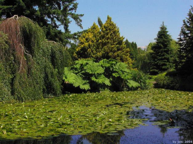 Обои картинки фото природа