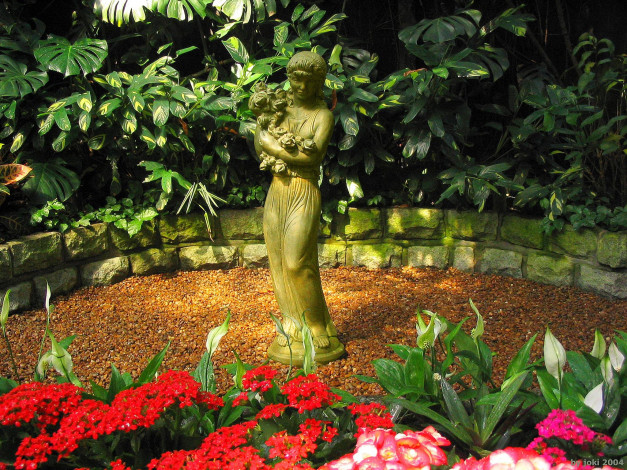 Обои картинки фото природа