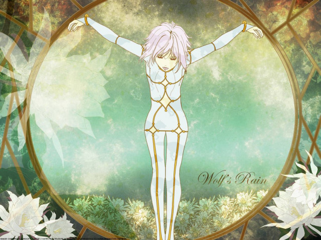 Обои картинки фото аниме, wolf`s, rain