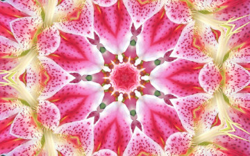 Картинка 3д графика fractal фракталы