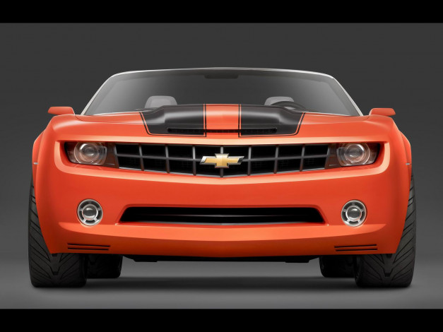 Обои картинки фото chevrolet, camaro, convertible, concept, автомобили