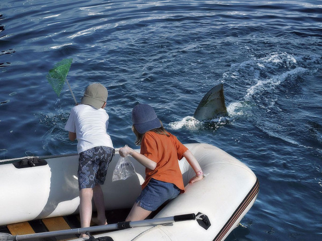 Обои картинки фото юмор, приколы