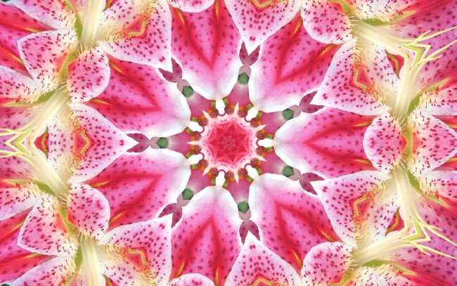 Обои картинки фото 3д, графика, fractal, фракталы