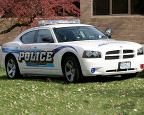 Картинка автомобили полиция