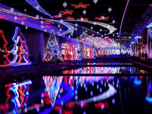 Картинка праздничные Ёлки