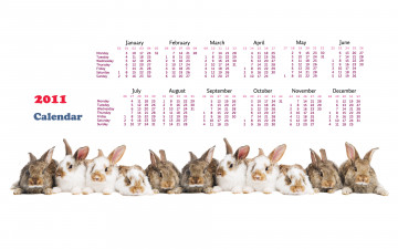 Картинка календари животные