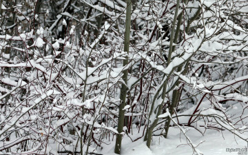 Картинка природа зима