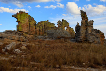 обоя мадагаскар, природа, камни, минералы, скалы, сухостой