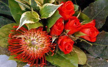 Картинка цветы разные вместе зеленые алые