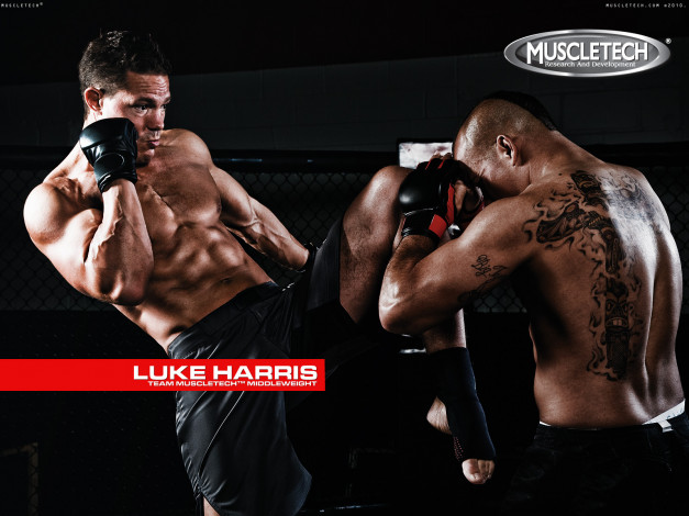 Обои картинки фото muscletech, бренды, luke, harris