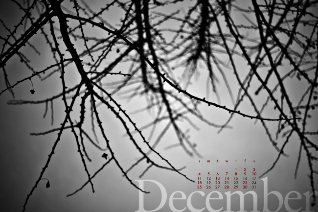 Обои картинки фото календари, природа, ветки