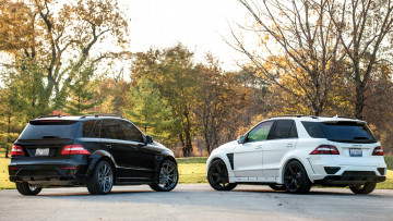 Картинка mercedes+ml автомобили mercedes-benz двигатели автобусы грузовики легковые подразделение daimler ag германия