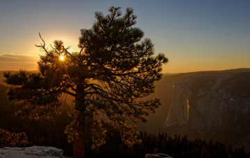 Картинка yosemite+national+park природа восходы закаты yosemite national park закат горы сосна лес