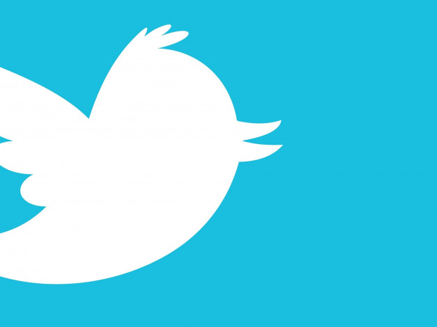 Обои картинки фото рисованные, минимализм, птичка