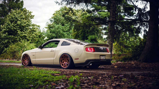 Обои картинки фото ford mustang, автомобили, mustang, ford, motor, company, культовый, автомобиль, сша