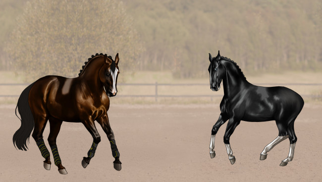 Обои картинки фото рисованные, животные,  лошади, лошади