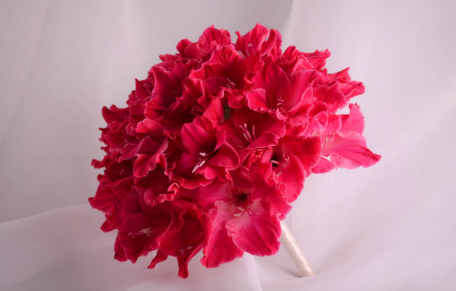 Обои картинки фото цветы, гладиолусы, букет, гладиолус