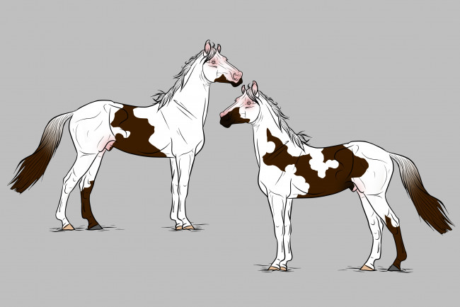Обои картинки фото рисованные, животные,  лошади, лошади