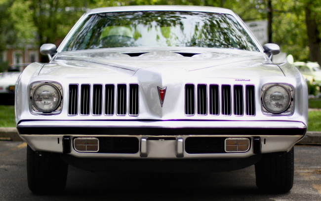 Обои картинки фото автомобили, pontiac