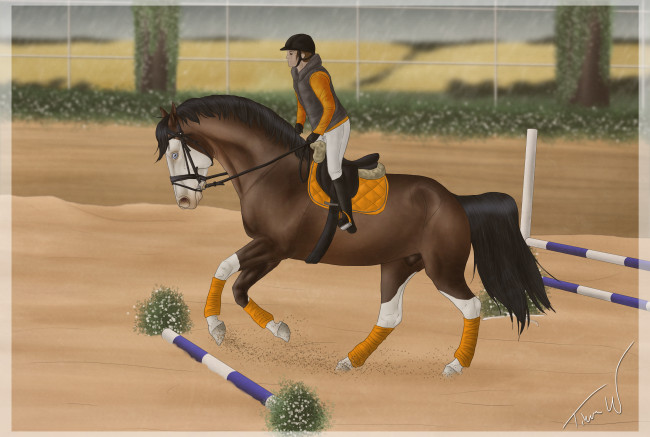 Обои картинки фото рисованное, животные,  лошади, лошадь, всадник