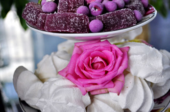 Картинка еда конфеты +шоколад +сладости роза зефир мармелад
