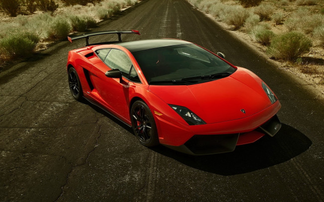 Обои картинки фото автомобили, lamborghini, красный, ламборгини, шоссе, дорога, кусты