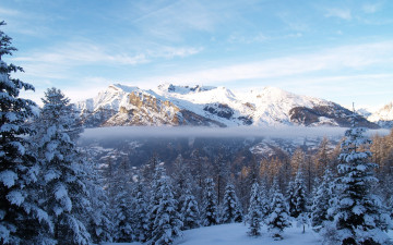 Картинка природа горы деревья