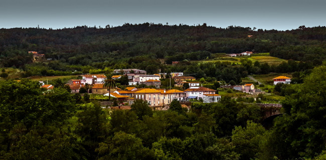 Обои картинки фото города, - панорамы, пальмы, деревья, дома